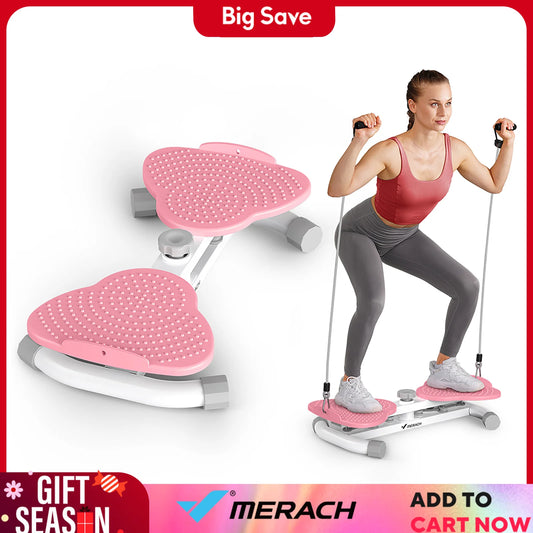 Core Fitness Tool Exercise Twist and Balance Board