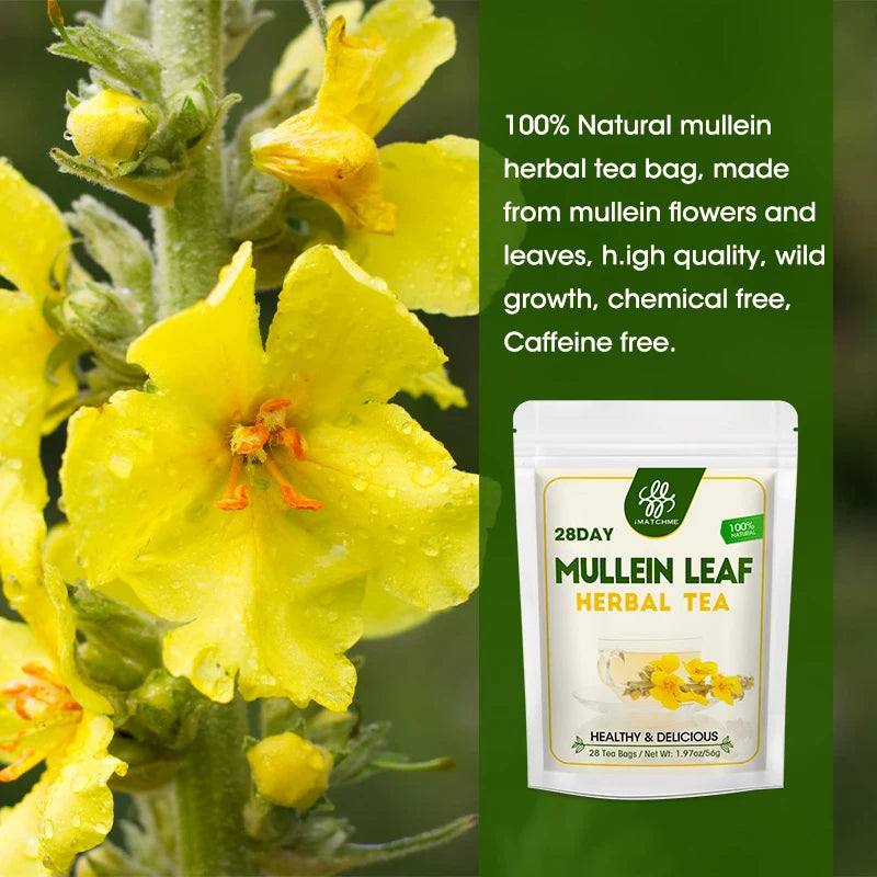 Mullein Leaf Tea Bags for Mucous Membranes